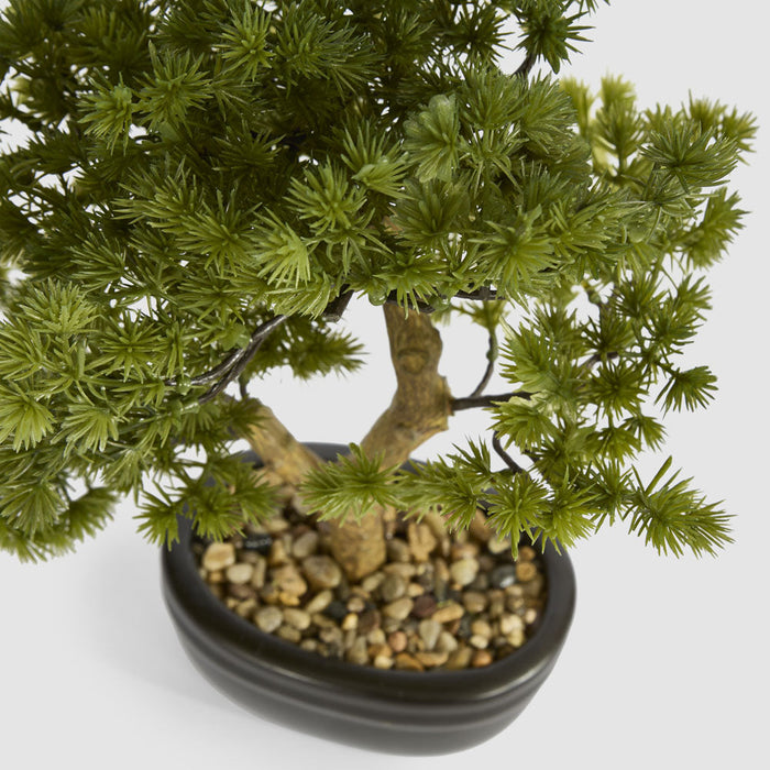 Artificial Bonsai Pine Tree 30cm Green - FLORA DESIGNS