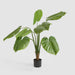 Artificial Real Touch Taro Plant 120cm Green - FLORA DESIGNS