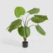 Artificial Real Touch Taro Plant 120cm Green - FLORA DESIGNS