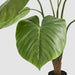 Artificial Real Touch Taro Plant 120cm Green - FLORA DESIGNS