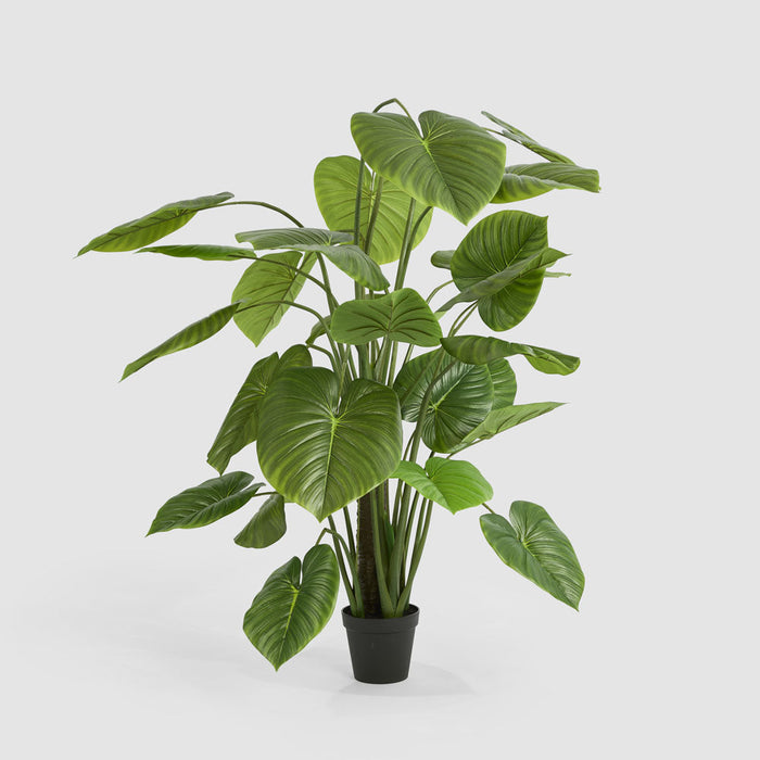 Artificial Real Touch Taro Tree 210cm Green - FLORA DESIGNS