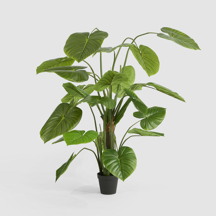 Artificial Real Touch Taro Tree 210cm Green - FLORA DESIGNS