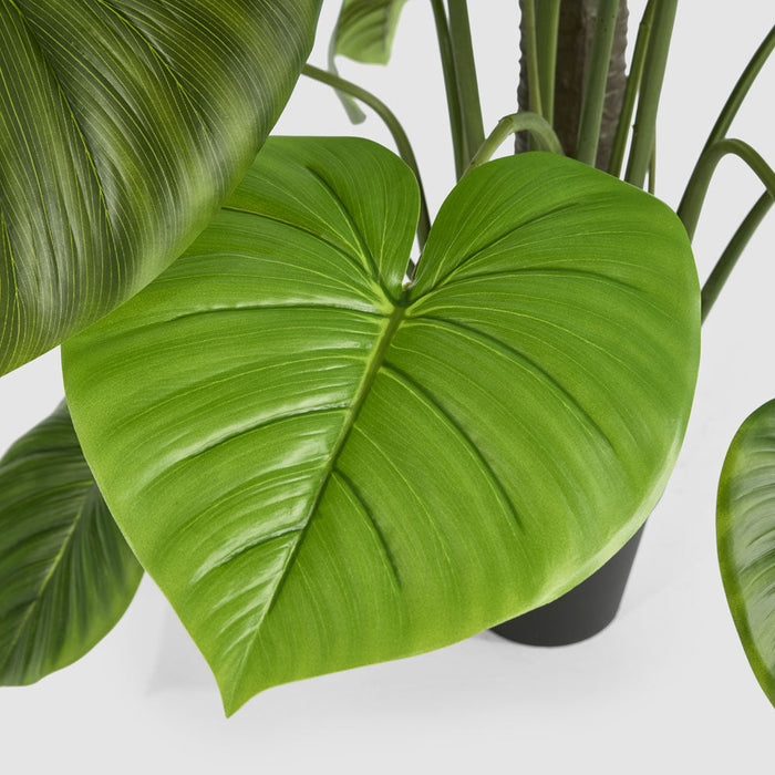 Artificial Real Touch Taro Tree 210cm Green - FLORA DESIGNS