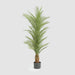 Artificial Real Touch Palm Tree 180cm Green - FLORA DESIGNS