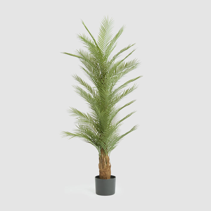 Artificial Real Touch Palm Tree 180cm Green - FLORA DESIGNS