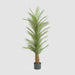 Artificial Real Touch Palm Tree 180cm Green - FLORA DESIGNS