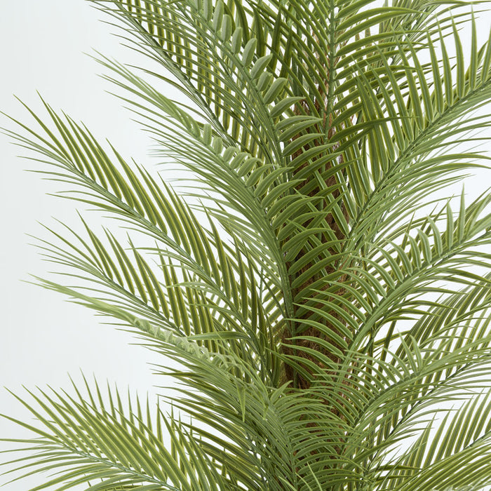 Artificial Real Touch Palm Tree 180cm Green - FLORA DESIGNS