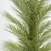 Artificial Real Touch Palm Tree 180cm Green - FLORA DESIGNS