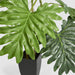 Artificial Real Touch Philodendron Selloum Plant 120cm Gold - FLORA DESIGNS