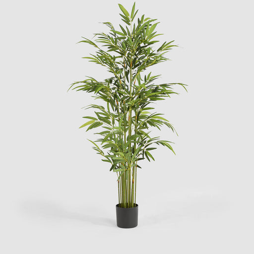 Artificial Real Touch Bamboo Tree 180cm Green - FLORA DESIGNS