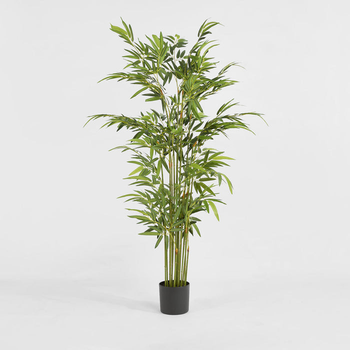 Artificial Real Touch Bamboo Tree 180cm Green - FLORA DESIGNS
