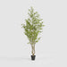 Artificial Real Touch Variegated Ficus 270cm Green - FLORA DESIGNS