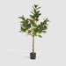 Artificial UV Lemon Tree 124cm Green - FLORA DESIGNS