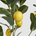 Artificial UV Lemon Tree 124cm Green - FLORA DESIGNS