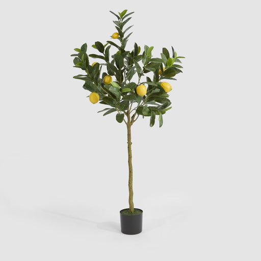 Artificial UV Lemon Tree 150cm Green - FLORA DESIGNS