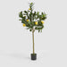 Artificial UV Lemon Tree 150cm Green - FLORA DESIGNS