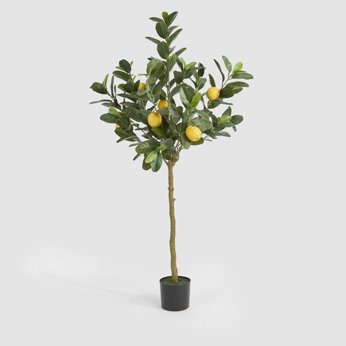 Artificial UV Lemon Tree 150cm Green - FLORA DESIGNS