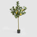 Artificial UV Lemon Tree 150cm Green - FLORA DESIGNS