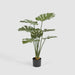 Artificial Real Touch Monstera Plant 85cm Green - FLORA DESIGNS