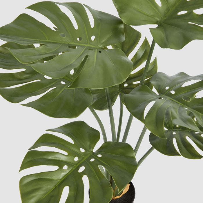 Artificial Real Touch Monstera Plant 85cm Green - FLORA DESIGNS