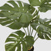 Artificial Real Touch Monstera Plant 85cm Green - FLORA DESIGNS