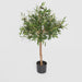 Artificial Olive Green Topping Tree 70cm Green - FLORA DESIGNS