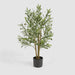 Artificial Potted Olive Tree 90cm Green - FLORA DESIGNS