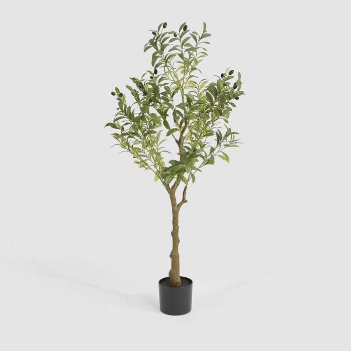 Artificial Potted Olive Tree 120cm Green - FLORA DESIGNS