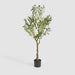Artificial Potted Olive Tree 120cm Green - FLORA DESIGNS