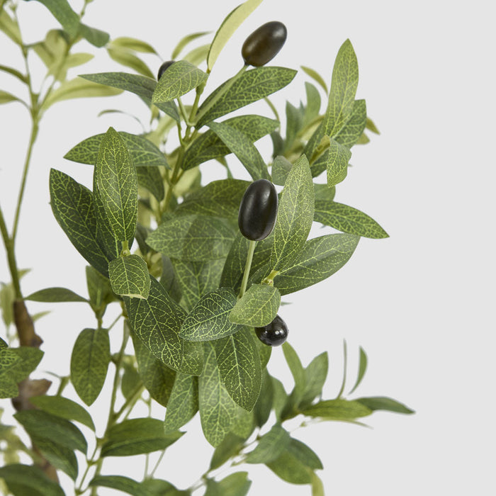 Artificial Potted Olive Tree 120cm Green - FLORA DESIGNS