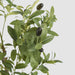 Artificial Potted Olive Tree 120cm Green - FLORA DESIGNS