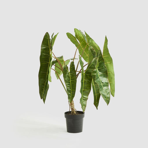 Artificial Potted Philodendron Spiritus Sancti Plant 104cm Green - FLORA DESIGNS
