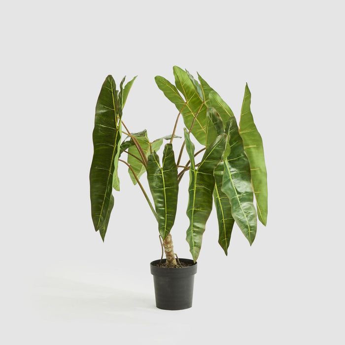 Artificial Potted Philodendron Spiritus Sancti Plant 104cm Green - FLORA DESIGNS
