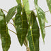 Artificial Potted Philodendron Spiritus Sancti Plant 104cm Green - FLORA DESIGNS