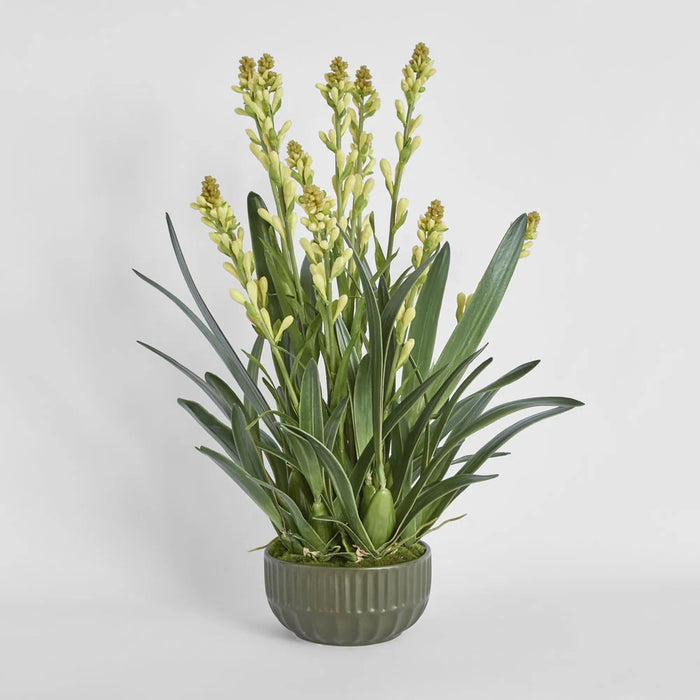 Tahlia Arrangement 75cm Green in Olive Green Pot