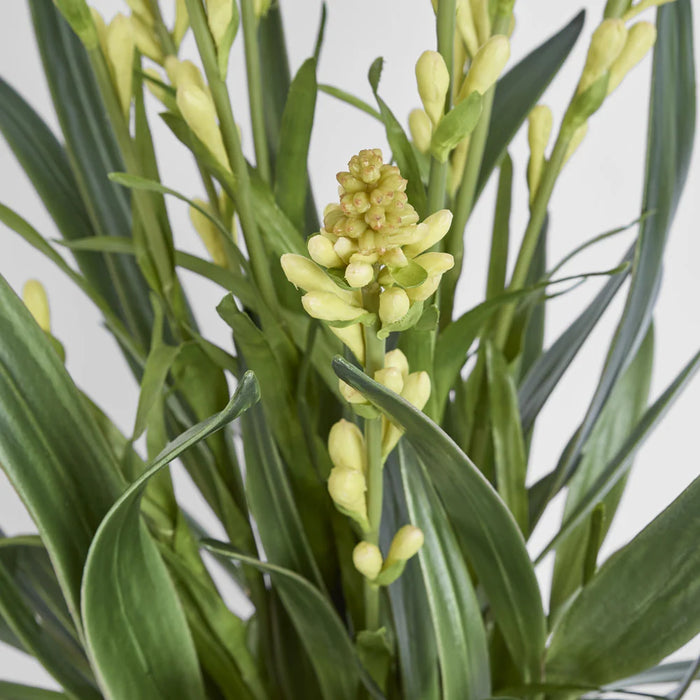 Tahlia Arrangement 75cm Green in Olive Green Pot