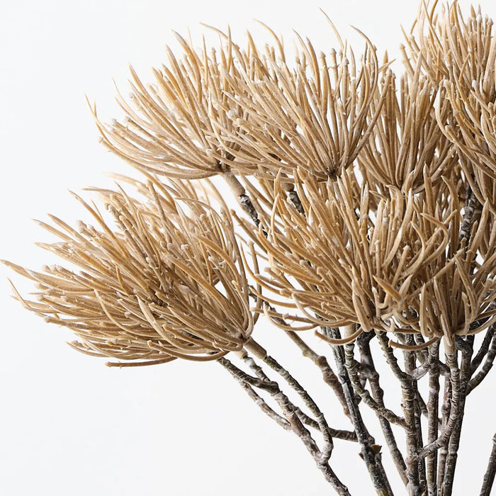 Thistle Bush Sand 25cm Set of 12