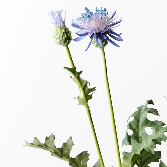 Thistle Spray Indigo 63cm - Pack of 12