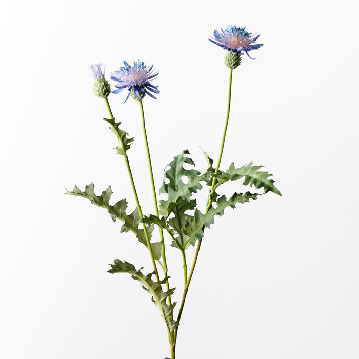 Thistle Spray Indigo 63cm - Pack of 12