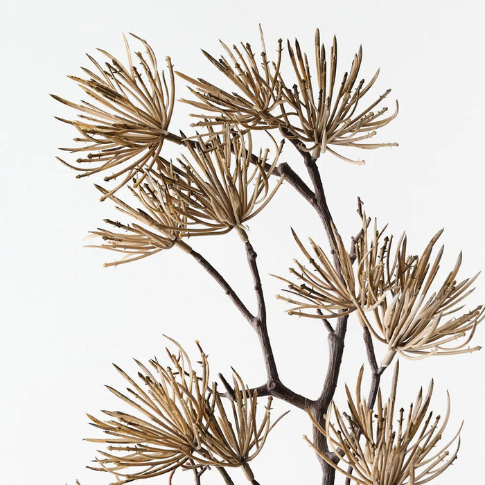 Thistle Spray Sand 73cm Set of 12