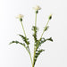 Thistle Spray White 63cm - Pack of 12