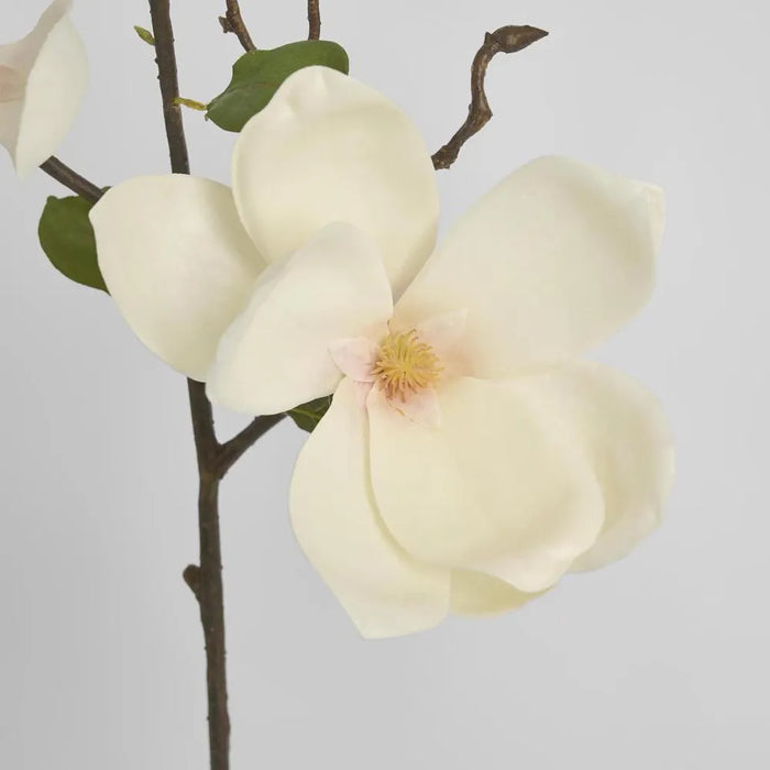 Tree Magnolia Stem White 70cm Pack of 6