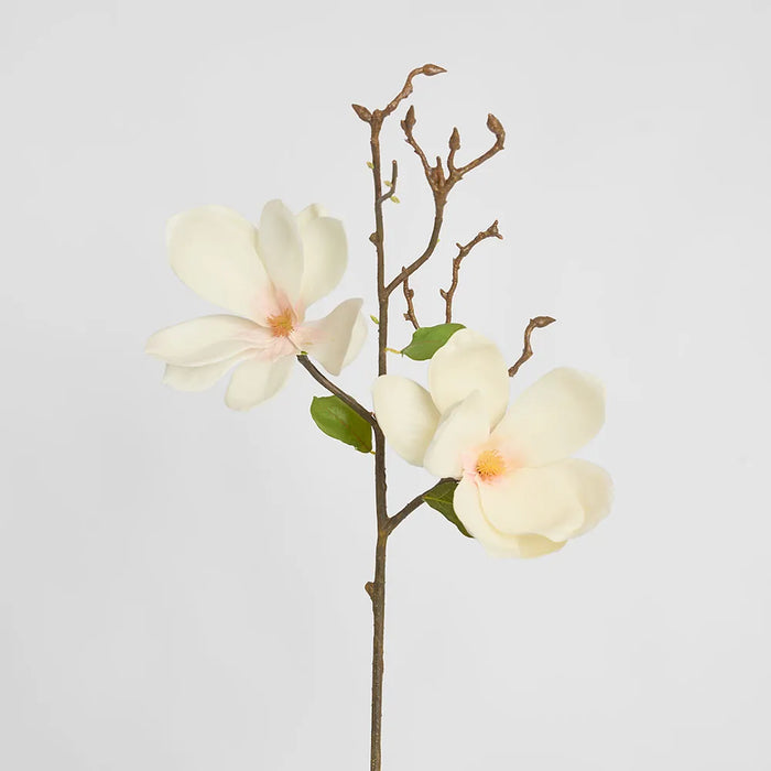 Tree Magnolia Stem White 70cm Pack of 6