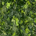 Tropical Green Leaf Greenery Wall