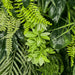 Tropical Green Leaf Greenery Wall