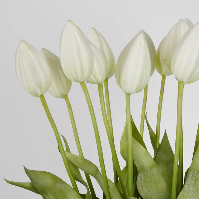 Tulip Flower in Water Vase 65cm White