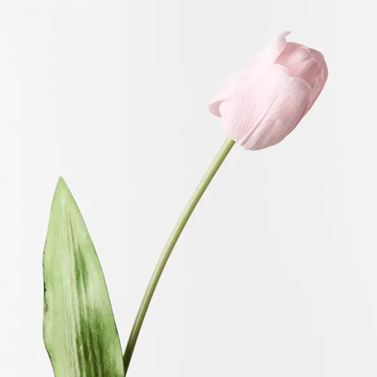 Tulip Light Pink 69cm Pack of 12