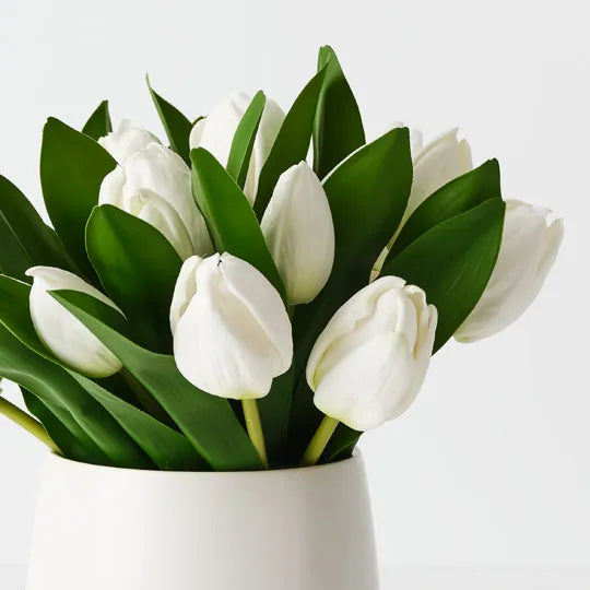 Tulip Mix in Pot 24cm White