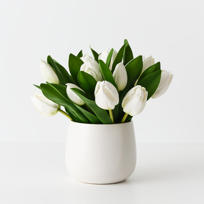 Tulip Mix in Pot 24cm White