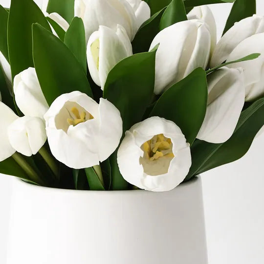 Tulip Mix in Pot 28cm White